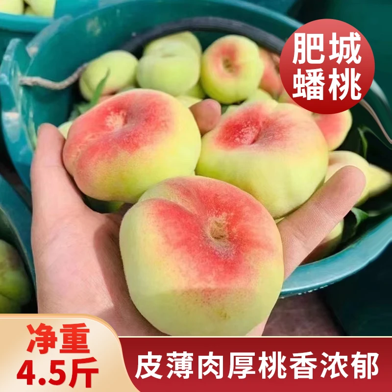 肥城特产蟠桃香甜多汁4.5斤/箱