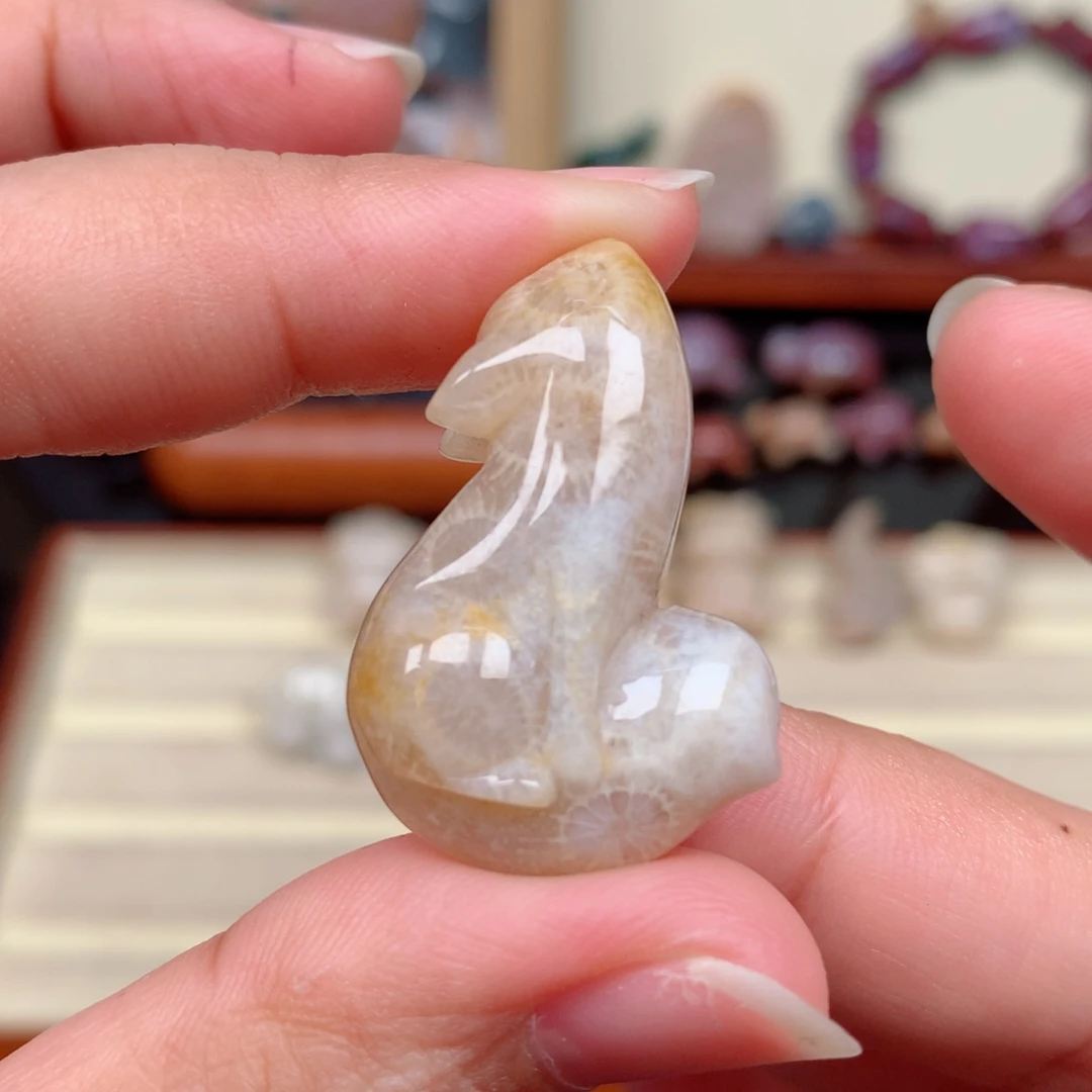 硅化玉未镶嵌颈饰