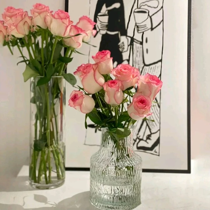 【爱莎玫瑰】单支花艾莎玫瑰花生活鲜花家居鲜花瓶插画浪漫花店送花上门（不含花瓶）【满58送】