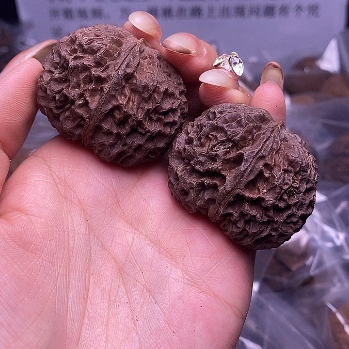 核桃云南野生铁核桃24号42mm