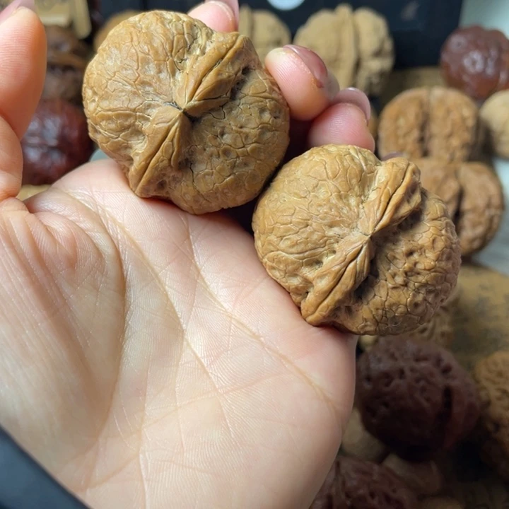 就****如图所示一物一拍6