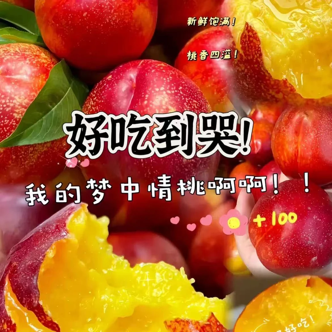 辽宁大连麻脸油桃