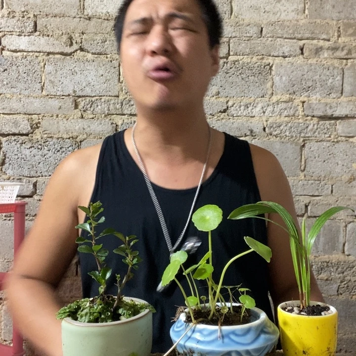 完全开放退款拉黑一物一拍163