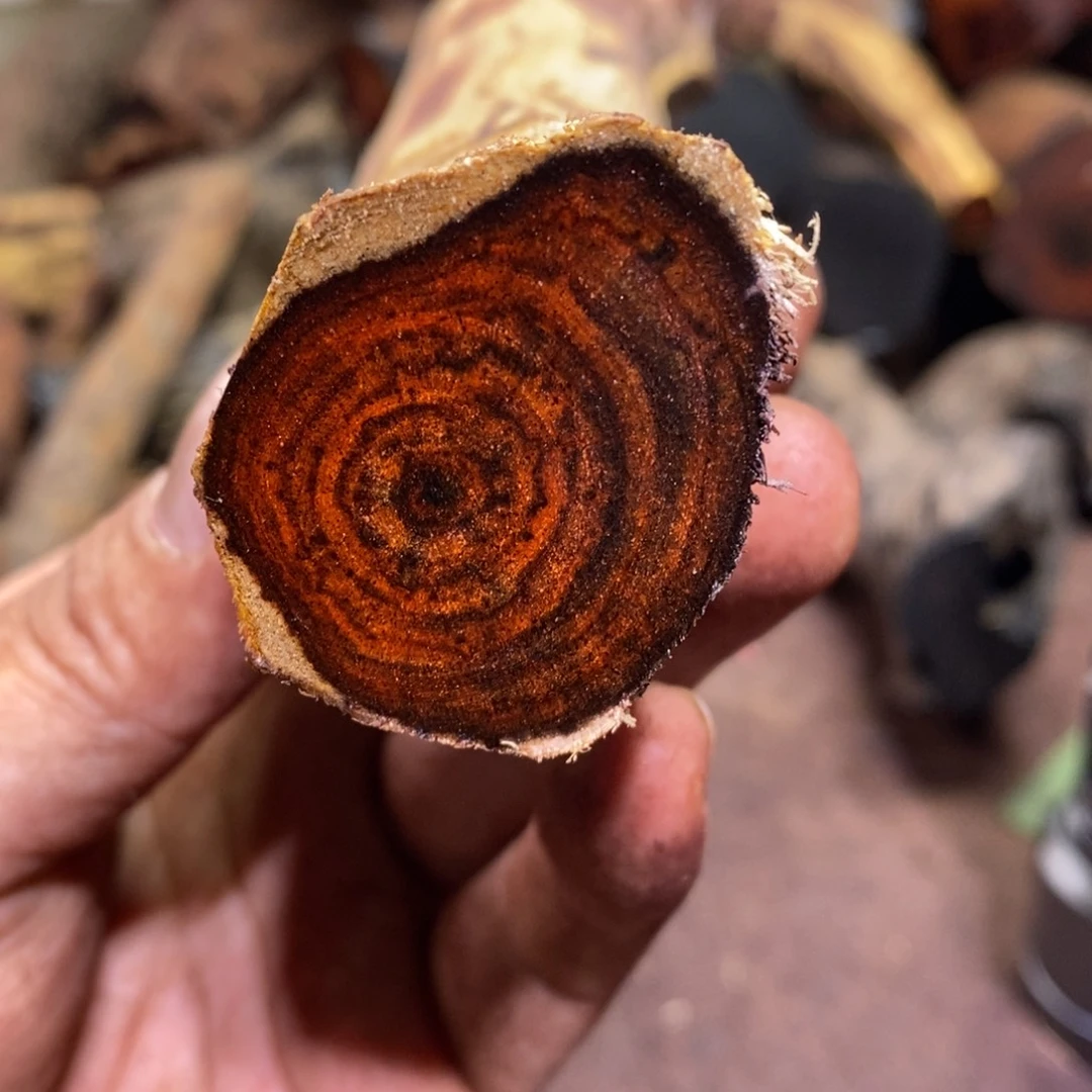 文***玩有机玻璃要不要来一份