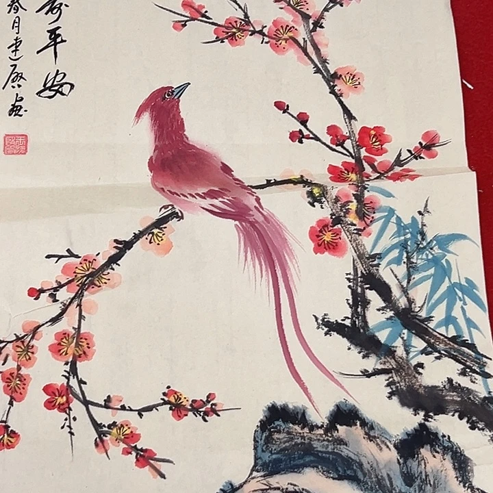 横款开播时间每周五晚上八