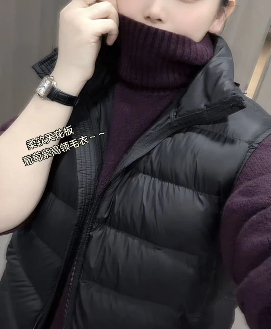 外贸出口订单~葡萄紫高领时尚套头毛衣0055