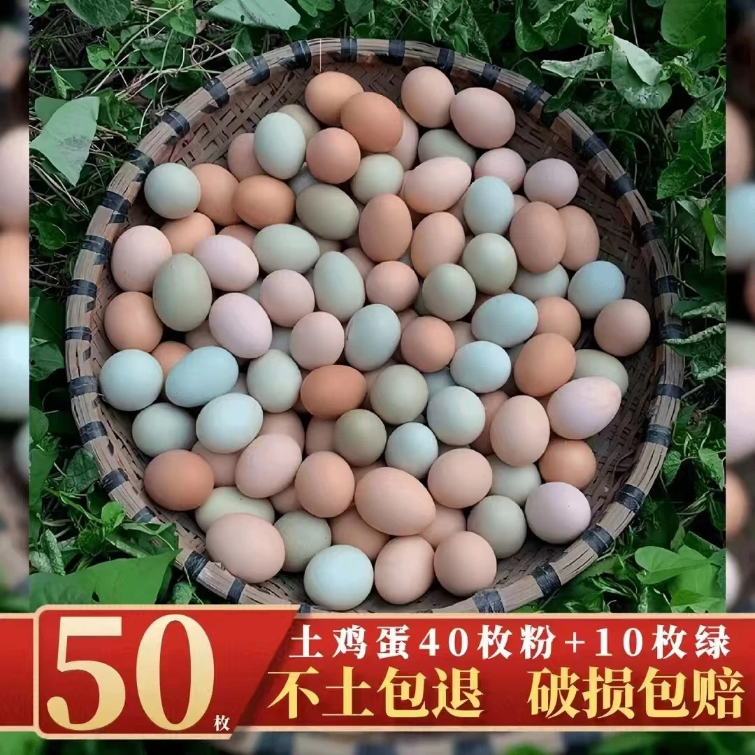 【农村生活】新鲜土鸡蛋40枚粉壳+10枚绿壳乌鸡蛋 组合共50枚/2000g