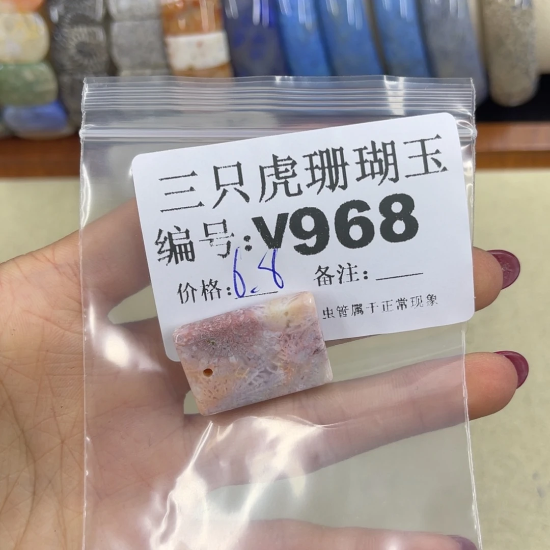 小***哭硅化珊瑚（珊瑚玉）h未镶嵌