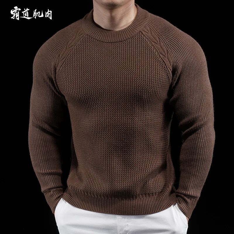 霸道肌肉新款极简圆领男士厚针织长袖毛衣男保暖纯色打底衫高级感