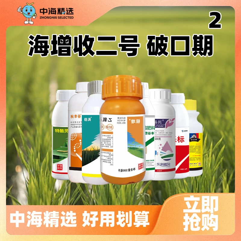 水稻田海增收二号破口期肥料技术方案助力作物生长