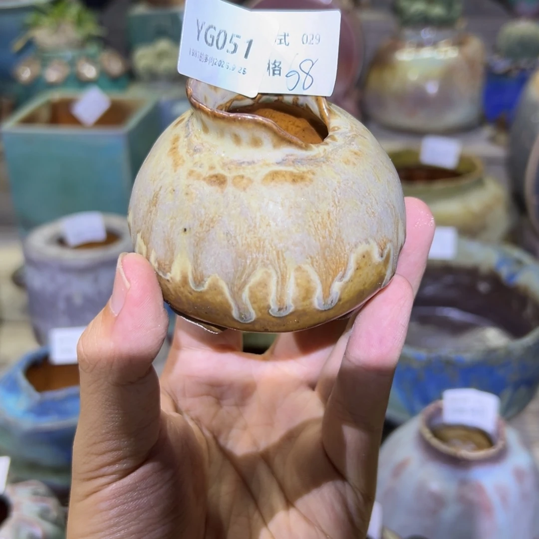 融***融1987花盆YG051盆盆盆盆盆