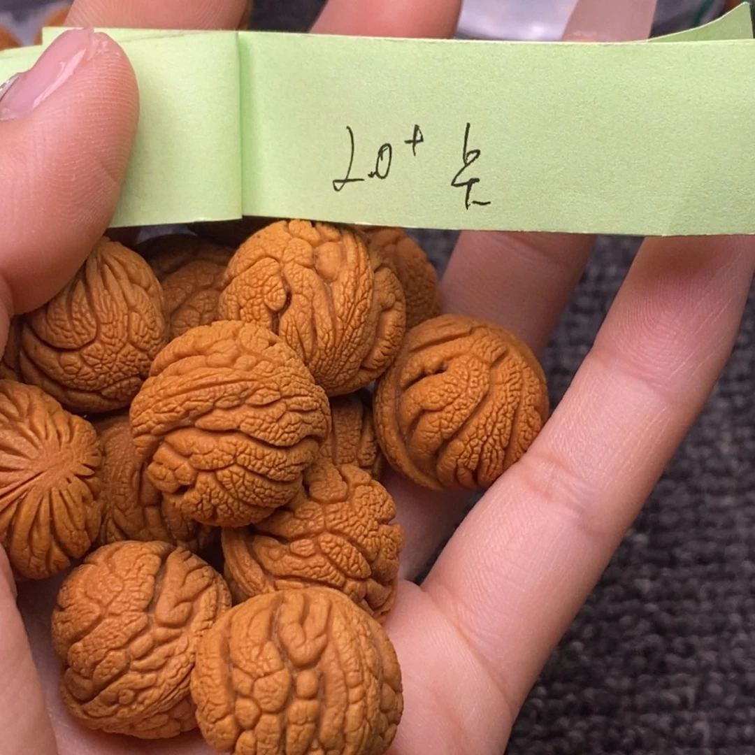 秦岭山脉龙纹桃核 13