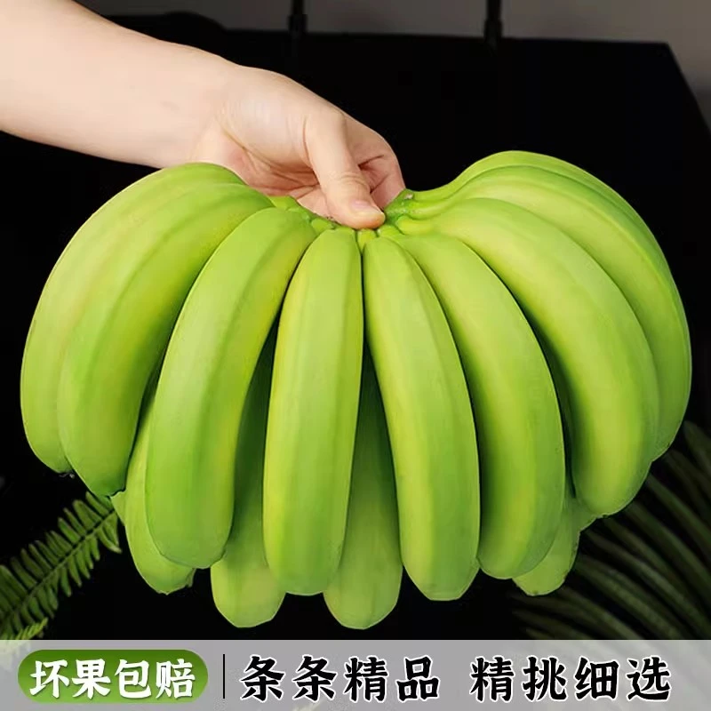 (绿皮即可食）云南高山香蕉软糯青皮甜蕉9斤自然成熟应季新鲜水果