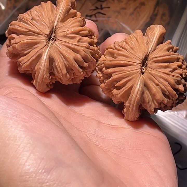 逗***玩文玩核桃把件43楼子毕业对