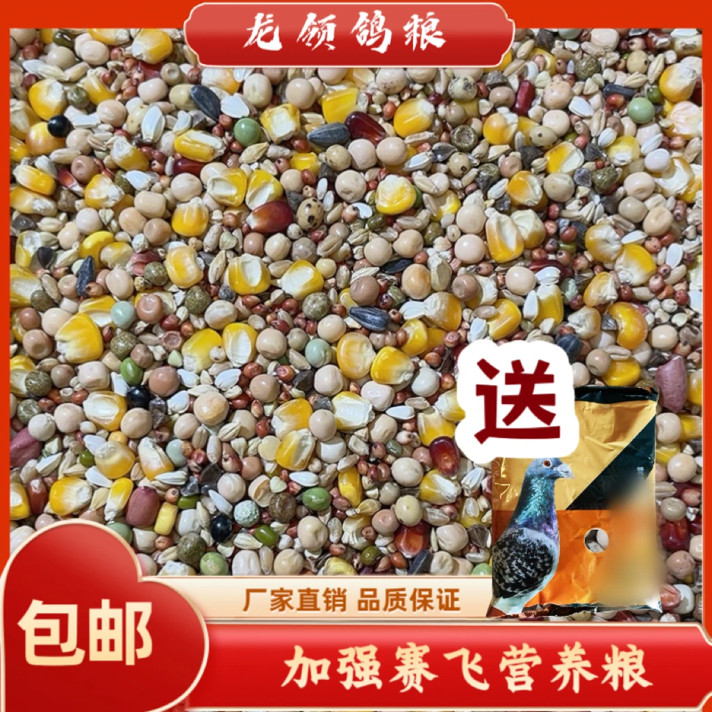 龙领鸽粮 《送保健砂》加强赛飞营养粮 10/20/50斤包邮赛鸽信鸽种鸽