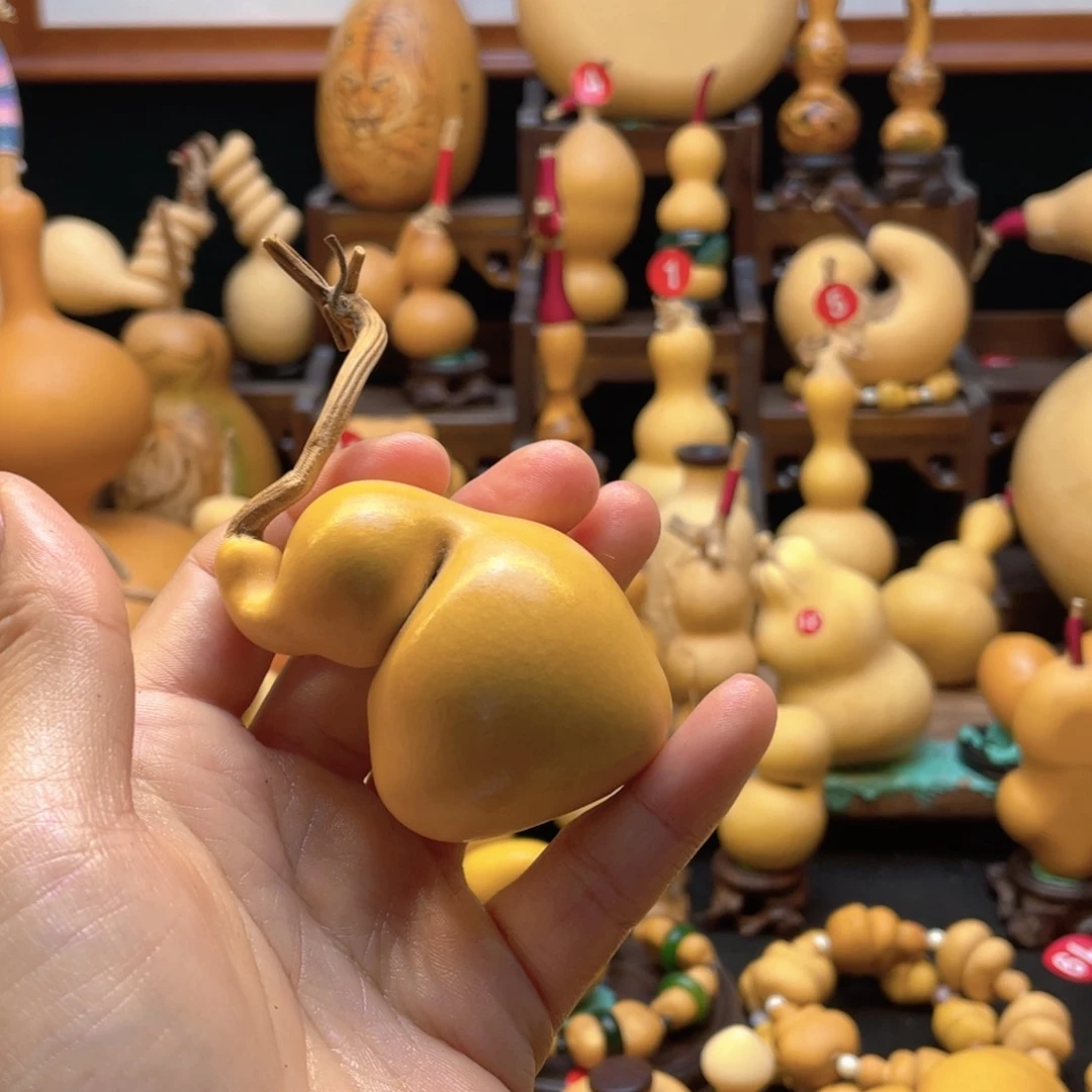 我***神大自然的秘密是什么呢