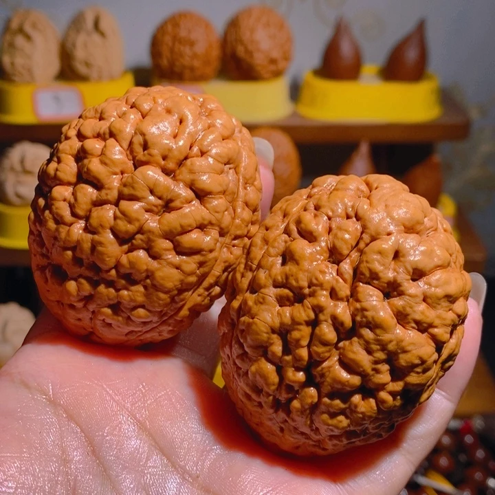 野生三瓣脑纹大金刚4658