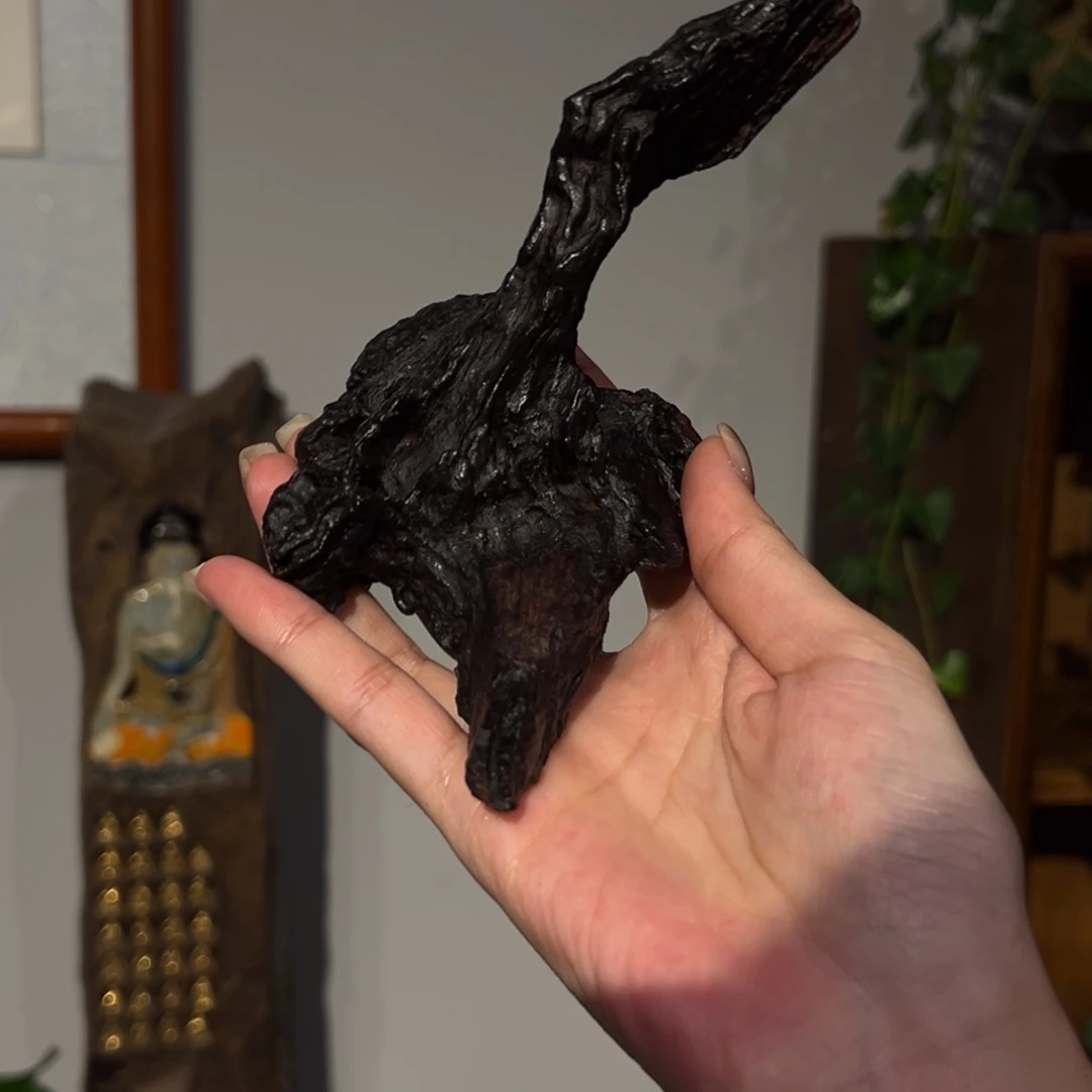 瓷片陶瓷。       陶瓷。