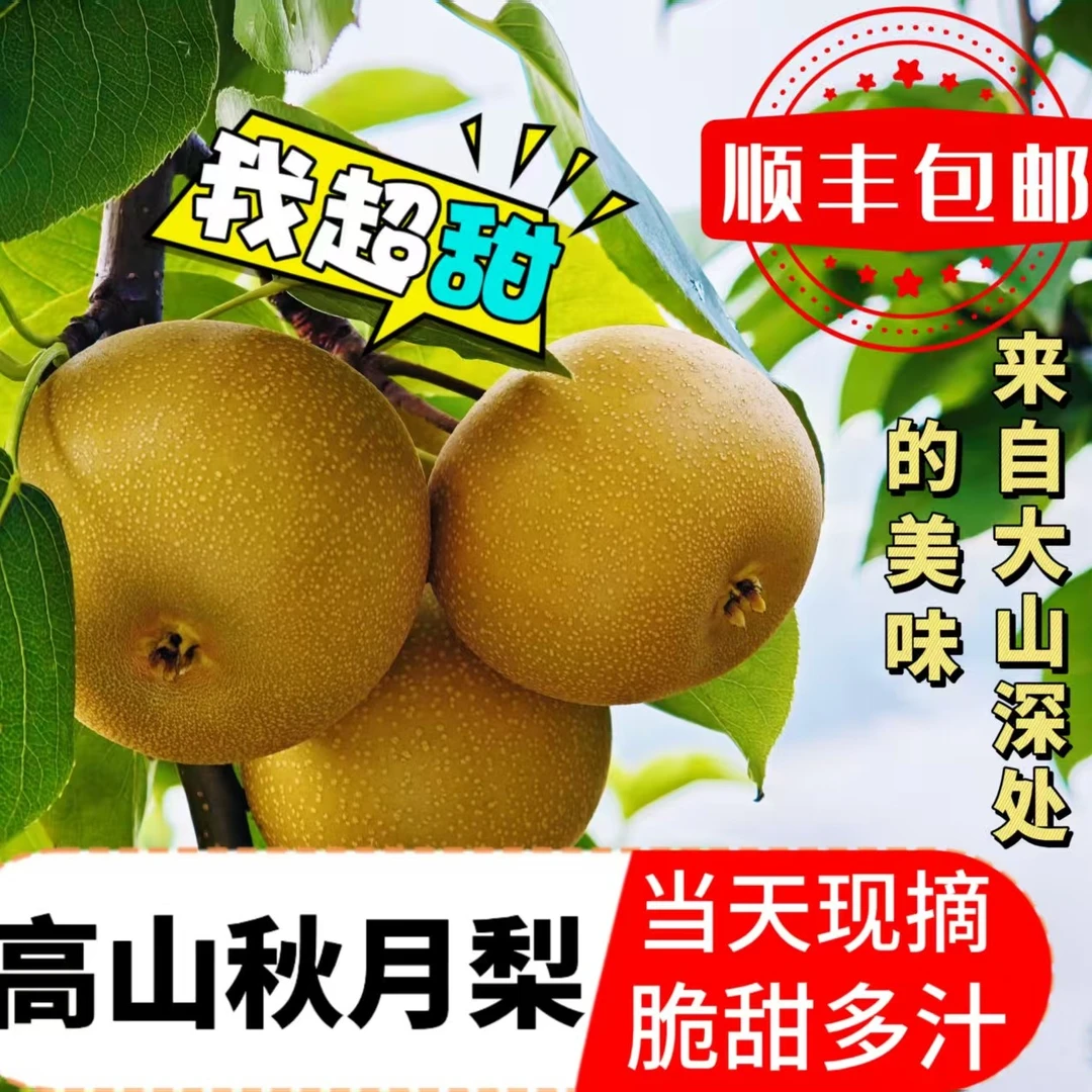 城口高山秋月梨香甜多汁新鲜现摘应季水果薄皮
