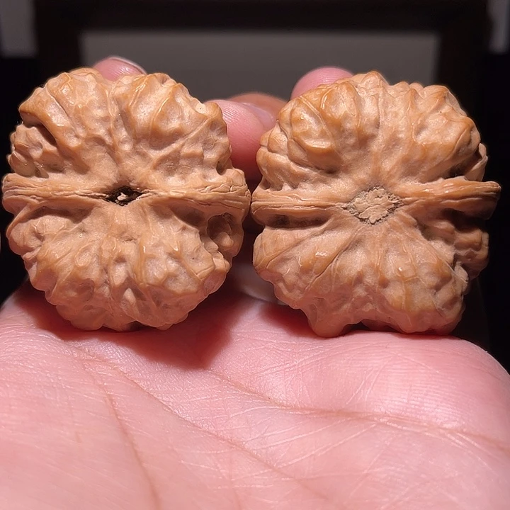 战****核桃手串/手链蛤蟆头