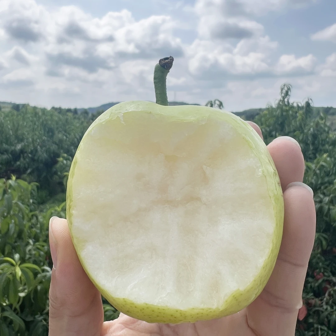 四川翠玉梨大头茬高山新果现摘现发脆甜爆汁爽口无渣当季水果包邮