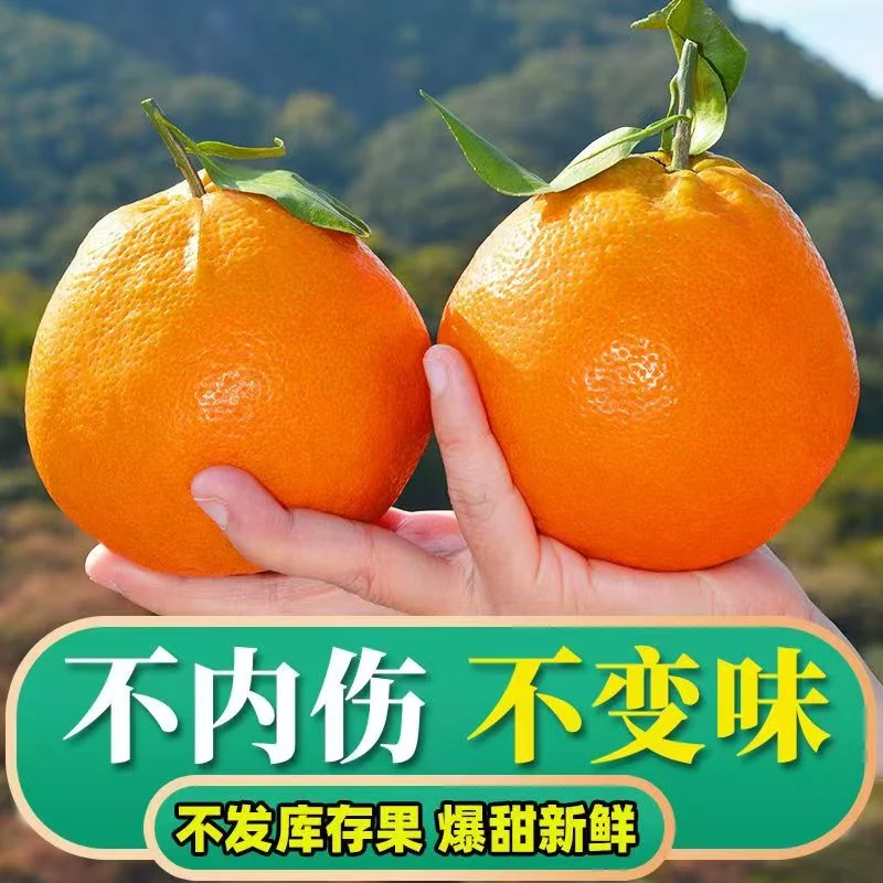 四川春见耙耙柑粑粑柑杷杷柑正宗水果新鲜整箱当季耙耙柑lxb