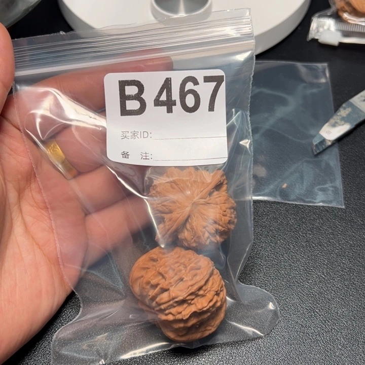 哈哈哈哈我的小可爱