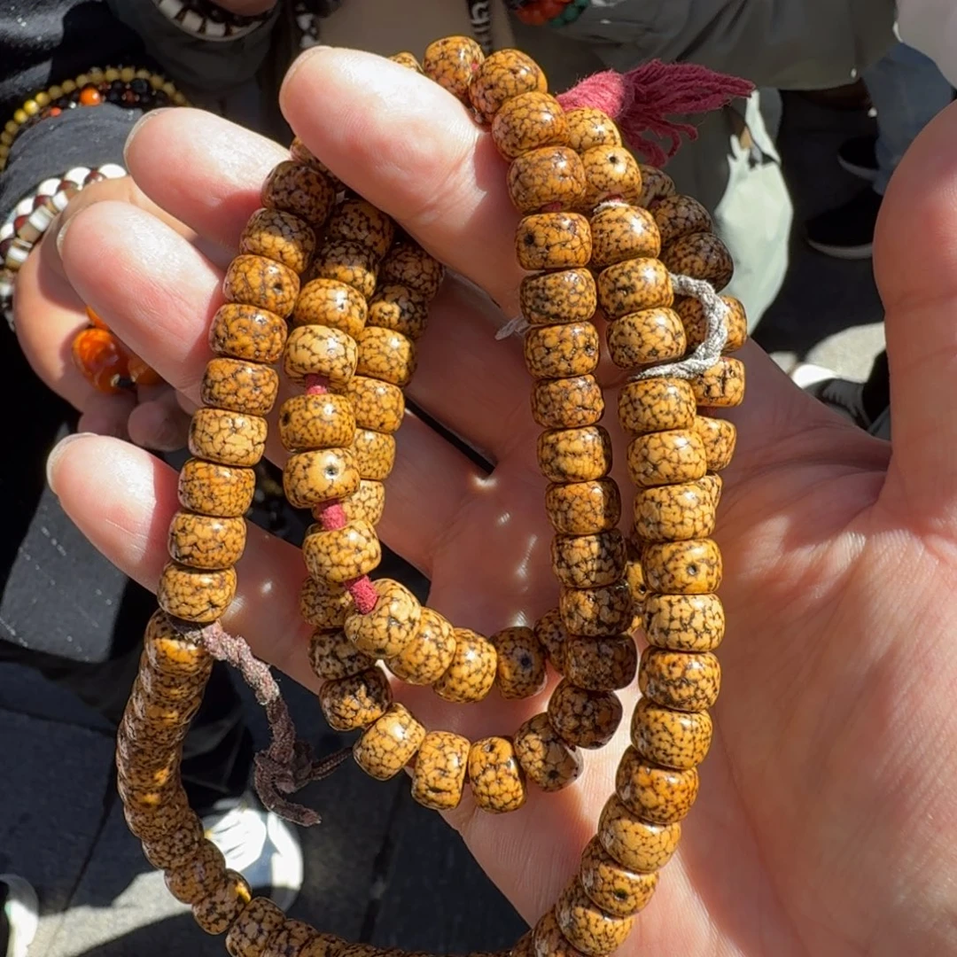 小***苏星月菩提吊坠藏传精品吊坠项链套装