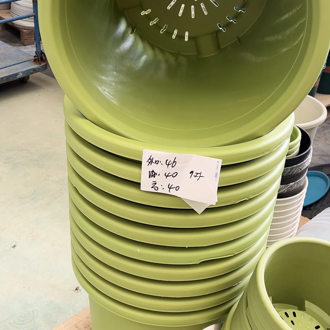 瑕疵四季盆9#果绿3个无托