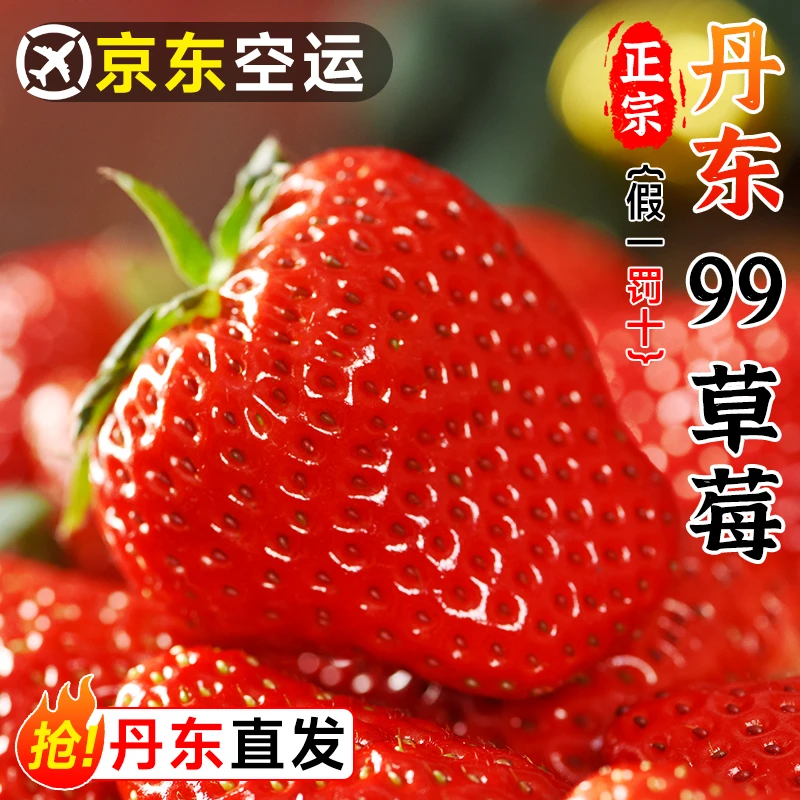 【空运包邮】正宗丹东99大草莓新鲜水果应季红颜草莓牛奶奶油甜草莓