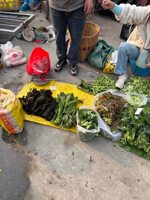 野菜/云南野菜香