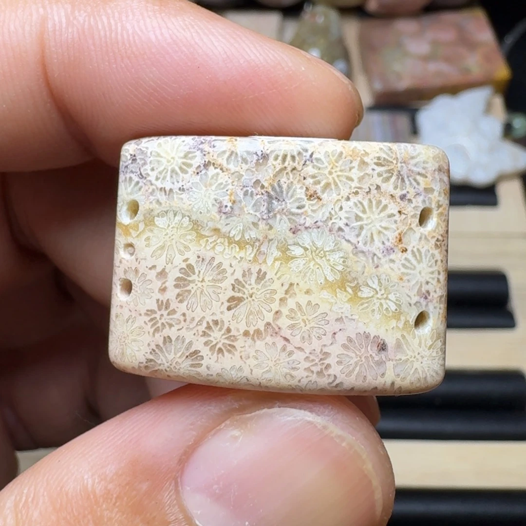 未镶嵌纯天然色有机玉石保真色硅化玉特价