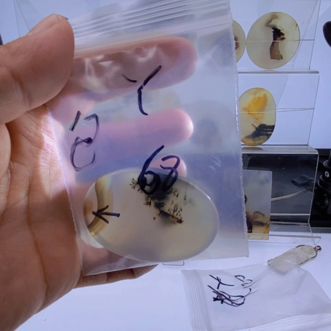 玛瑙/玉髓颈饰未镶嵌丫**?