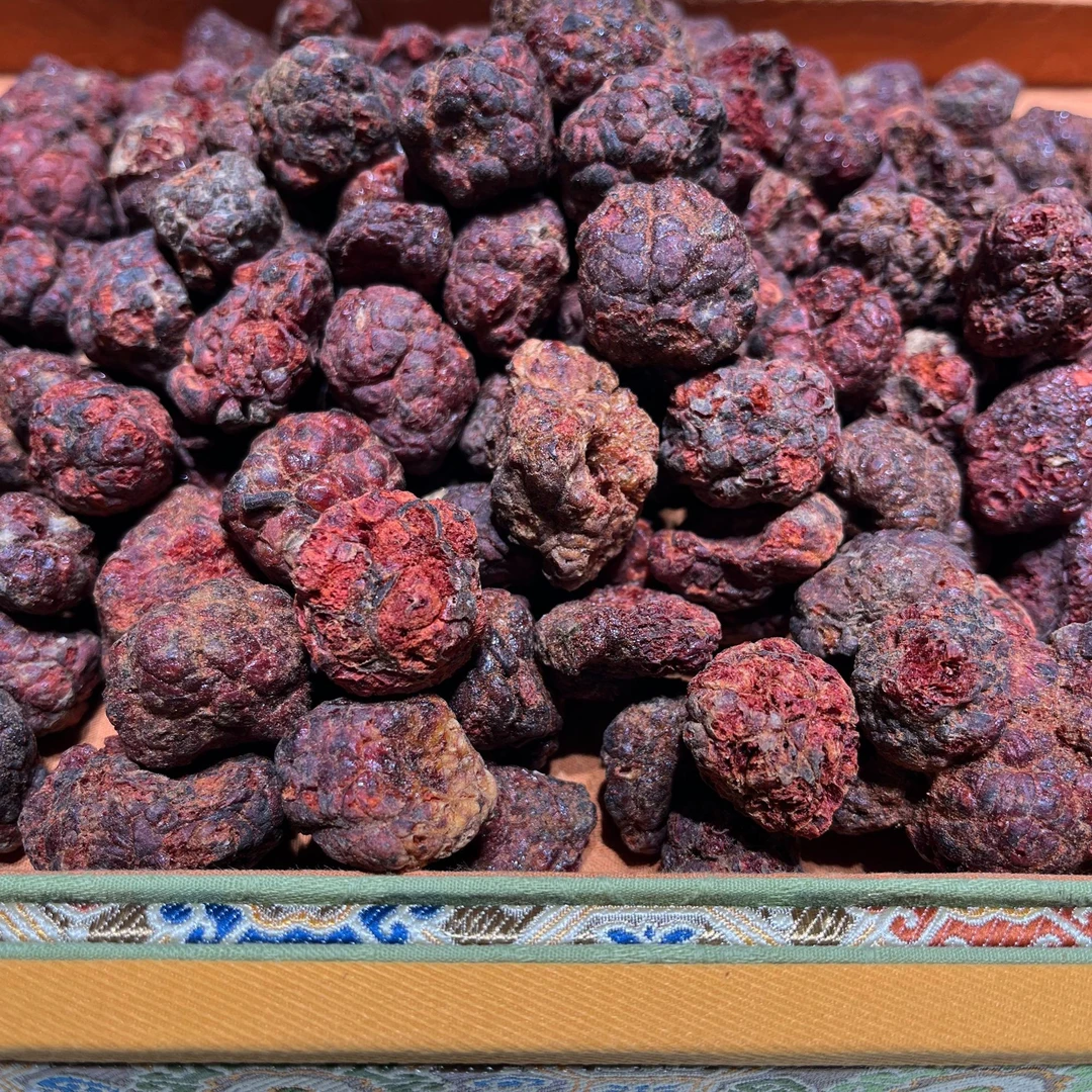 【甄选】帝王果可搭配紫衫果