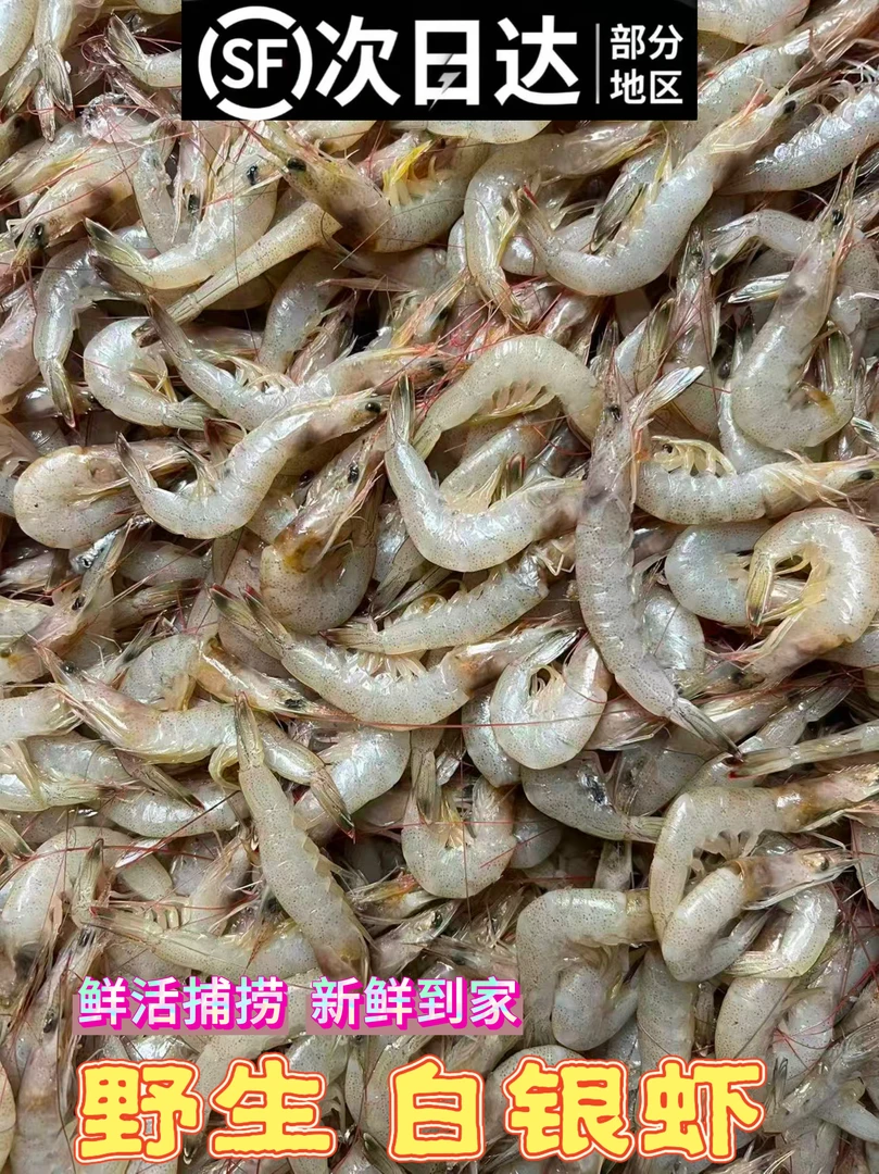 速冻 威海石岛本地 新鲜白银虾 羊毛虾 4斤顺丰包邮