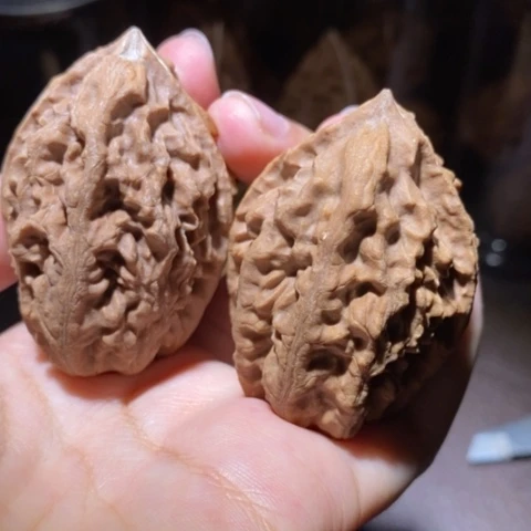 把件文玩核桃东北野生楸子小园 256