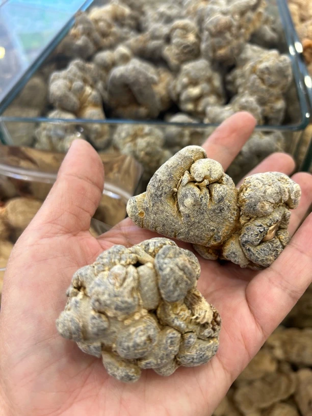 精选云南文山三七不同头数正宗松茸菌田七可煲汤可磨粉