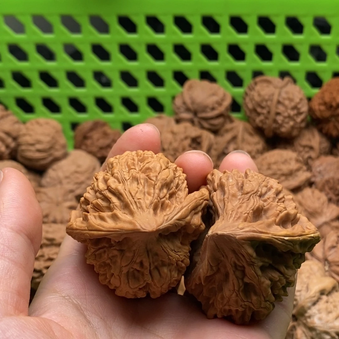 逻***辑核桃定制商品不退不换