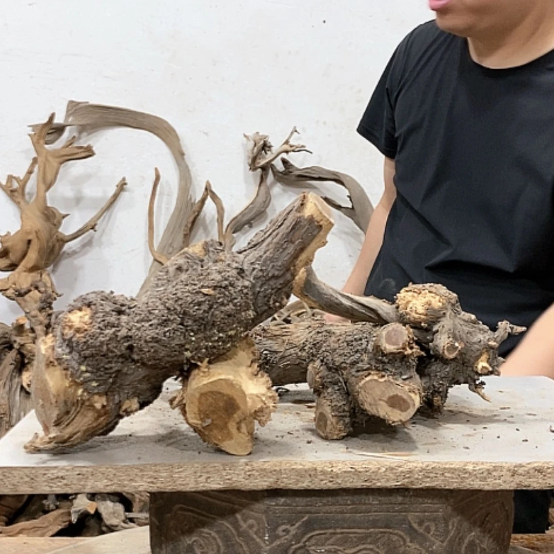 【闪购商品】柏木石**说我们都是好孩子