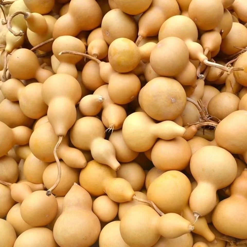 《一号链接》天然葫芦摆件一物一拍私自下单默认微瑕