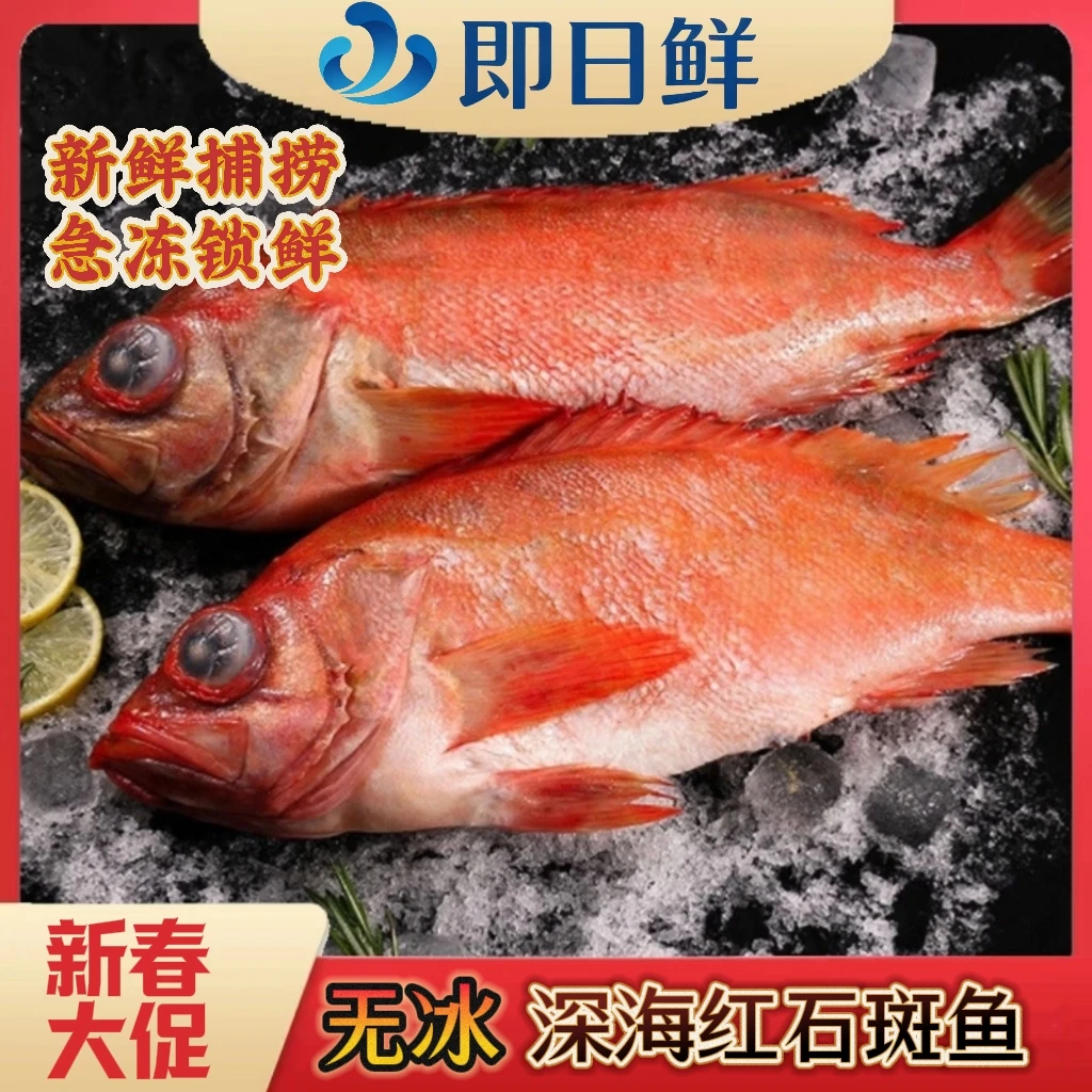 【红石斑鱼】双旦特惠深海捕捞蒜瓣肉无小刺速冻锁鲜清蒸红烧家宴