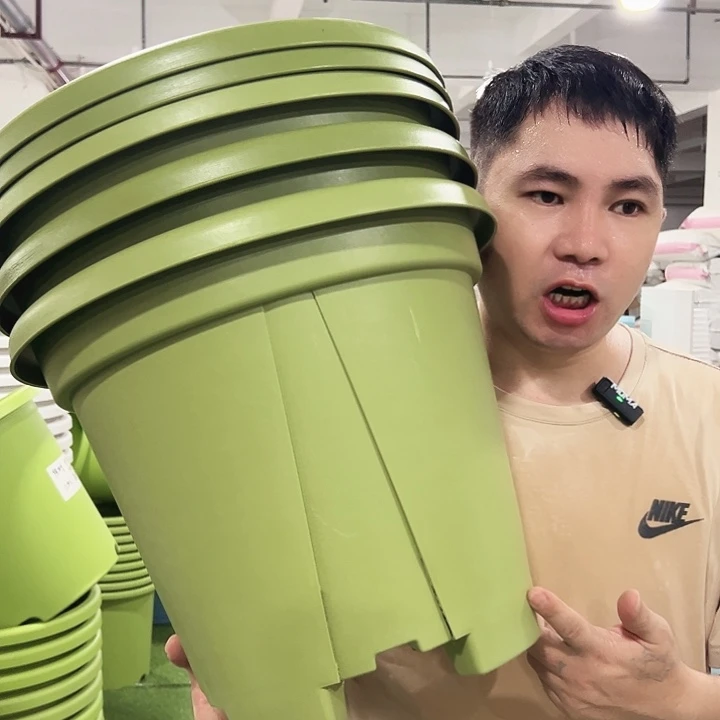 青山口40高35果绿色5个无托