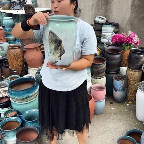 口20高31瑕疵一个盆子。