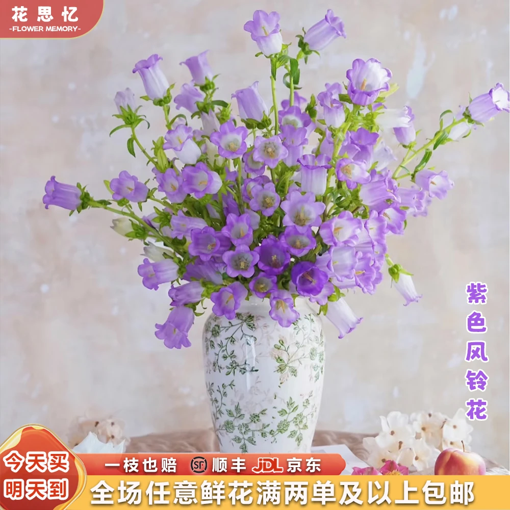『紫色风铃花一把』仙气飘飘小铃铛 品质鲜花全场任意满两单鲜花顺丰京东包邮 三单鲜花送玻璃花瓶直播次日达