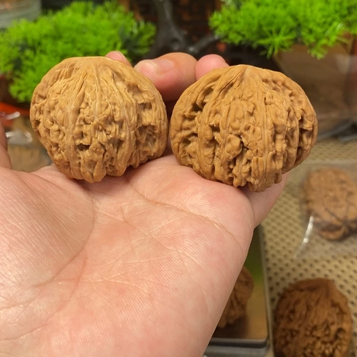 核桃手串/手链密纹45