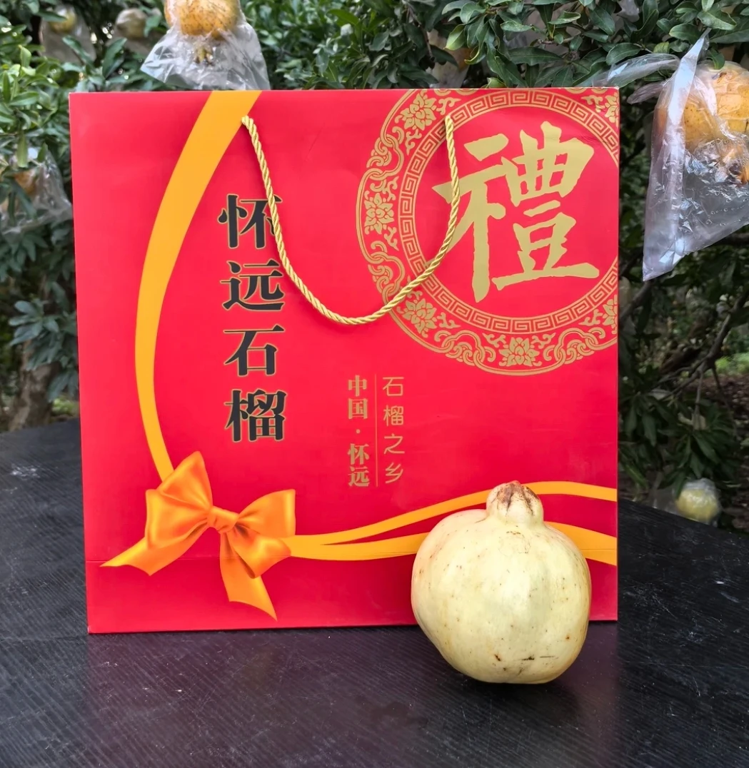 怀远特产白花玉石籽石榴精品大果高档礼盒装当天采摘新鲜发货