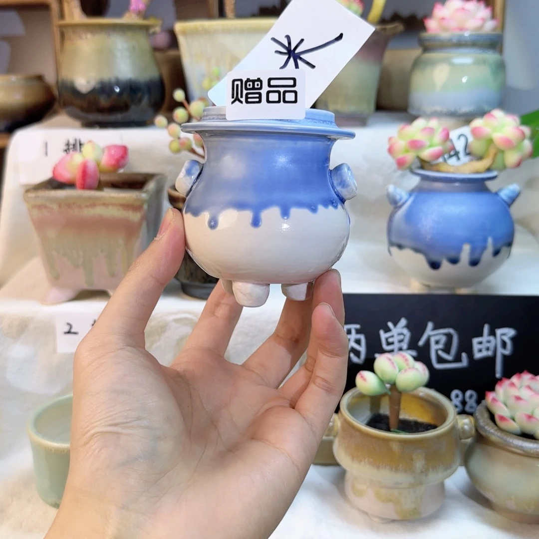 一元花盆。 非偏远两单包邮。