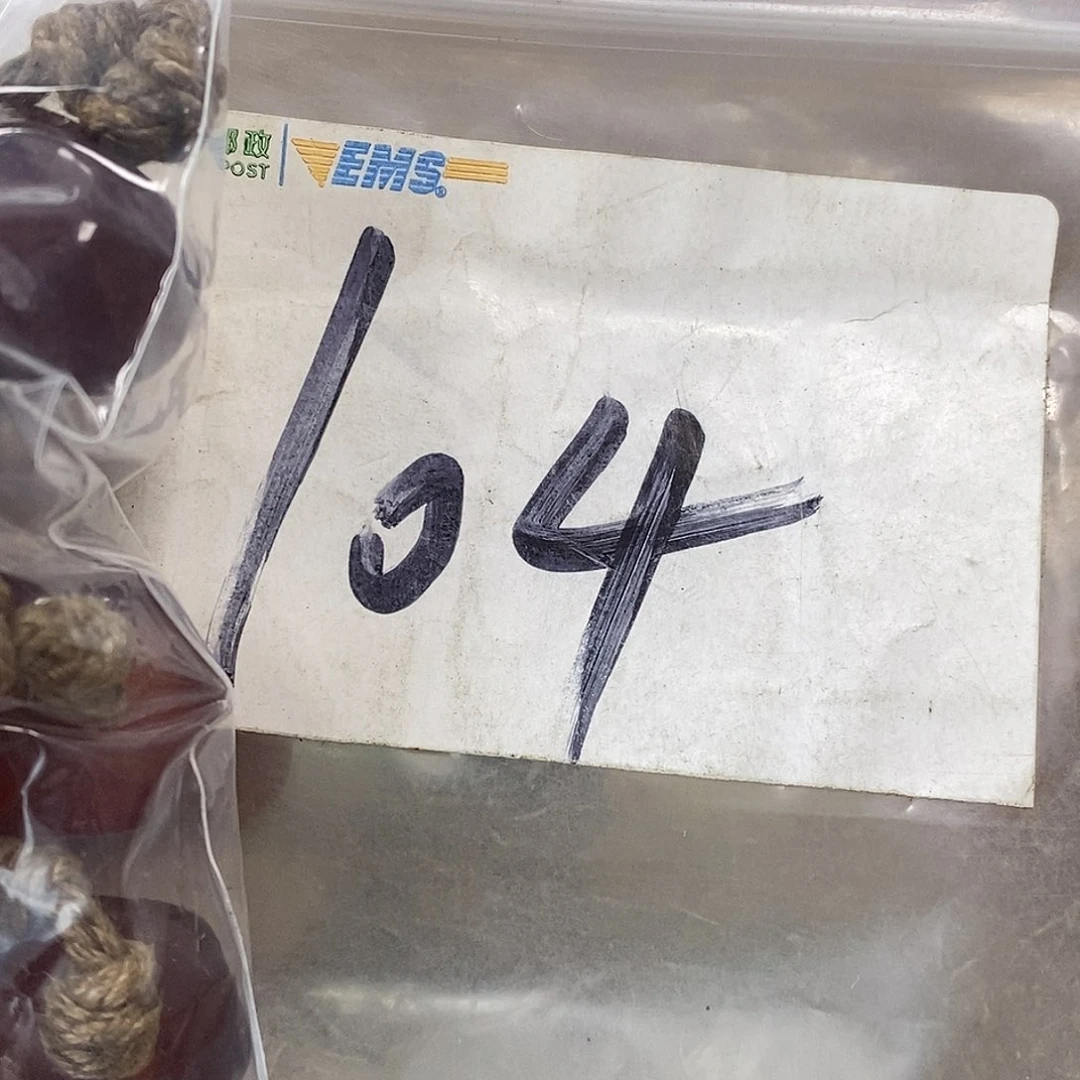 吊坠龙脊菩提龙*德宝文玩直播间专属链接