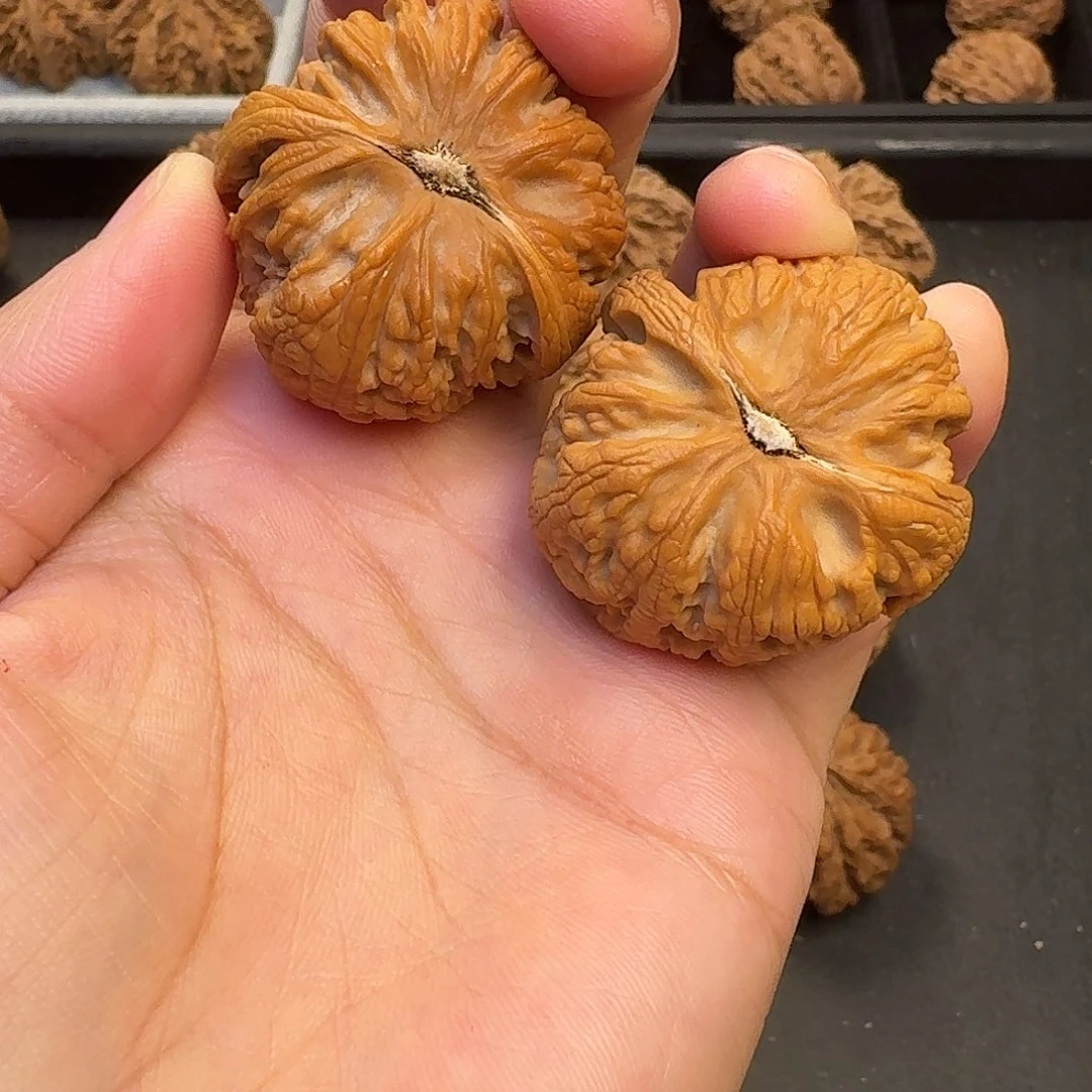 核桃突突突突突突突突突突突突突突