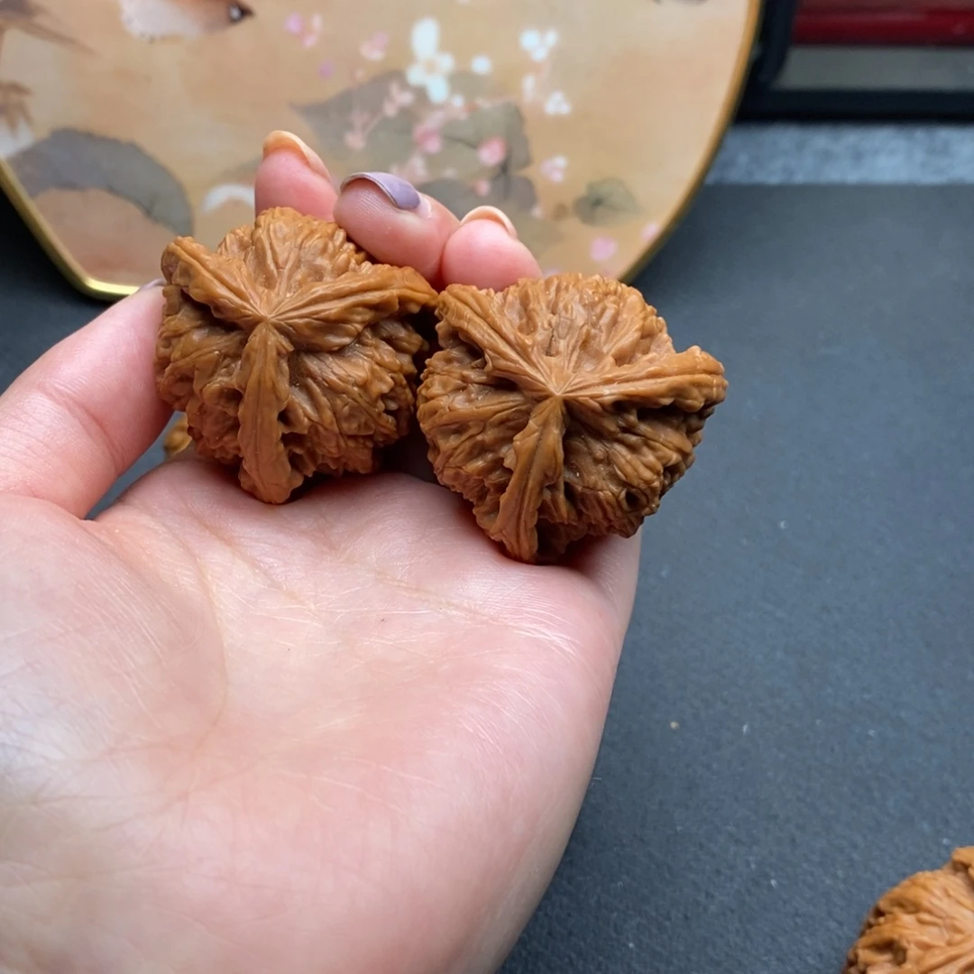 十****田白狮子111111111